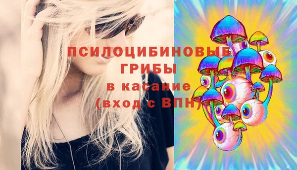 ешки Карпинск