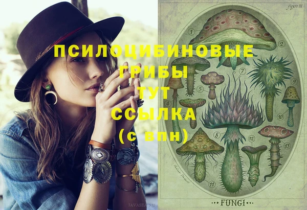 ешки Карпинск