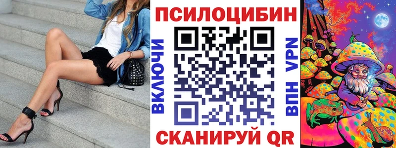 Псилоцибиновые грибы Psilocybe  где можно купить   Элиста 