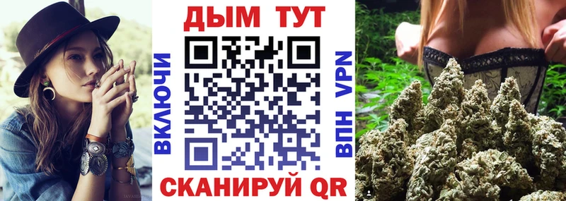 даркнет сайт  Элиста  Шишки марихуана конопля 